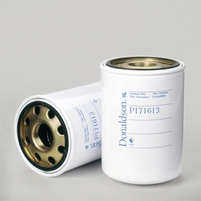 Donaldson P171613 Filtro Hidraulico Roscado