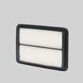 Donaldson P506065 Filtro de Aire Panel