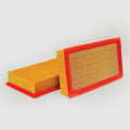 Donaldson P546596 Filtro de Aire Panel