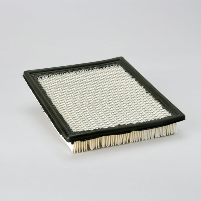 Donaldson P606063 Filtro de Aire Panel Cabina