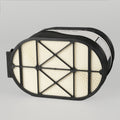 Donaldson P617631 Filtro de Aire Primario Powercore
