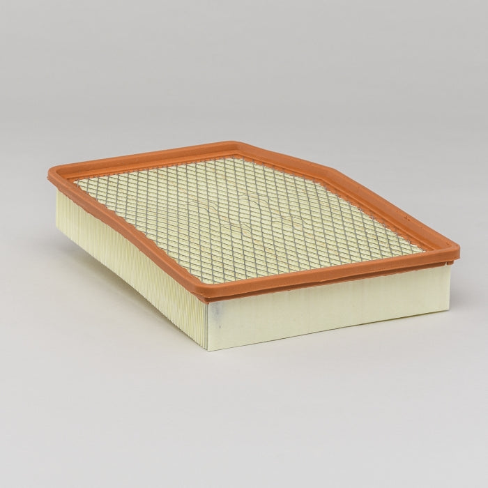 Donaldson P643144 Filtro de Aire Panel